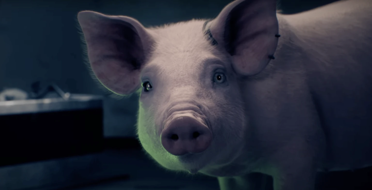 AeOxHXLN I yT9QVMA61A 1