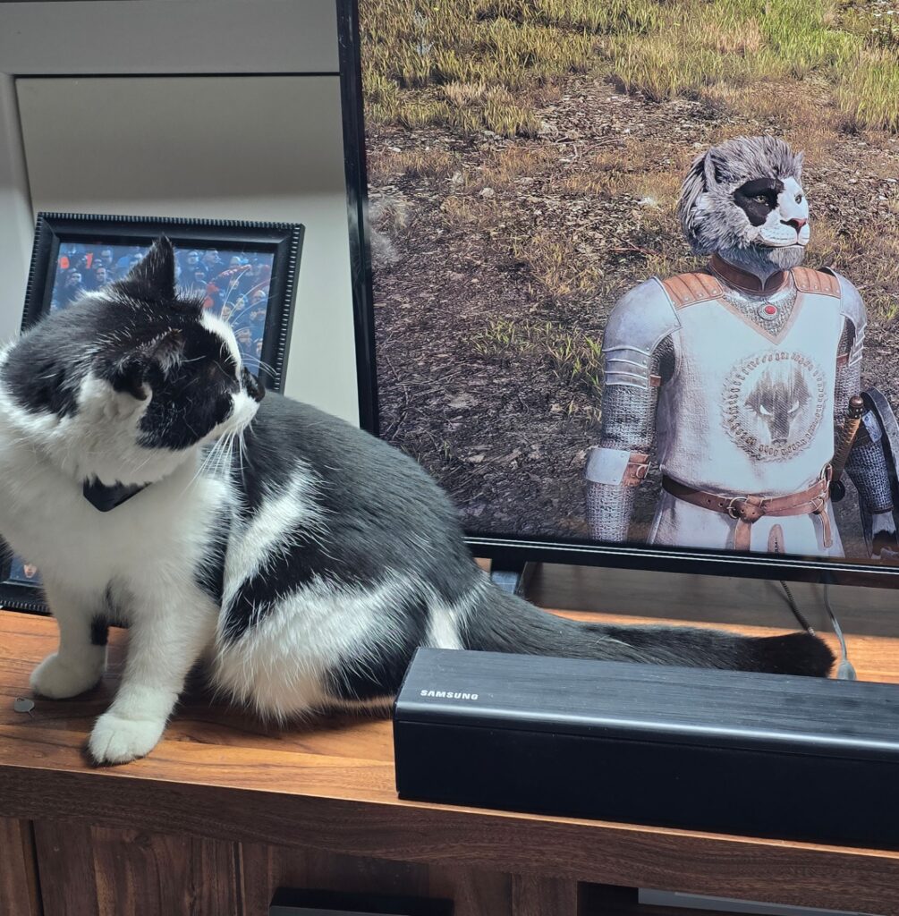 oblivion remaster feline characters 5