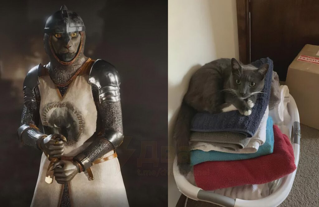 oblivion remaster feline characters 7