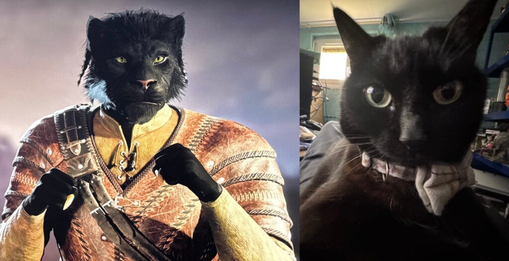 oblivion remaster feline characters 9 1